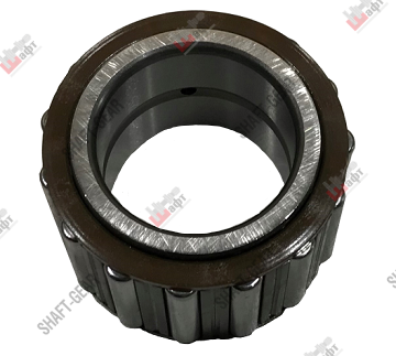 DS100-1701085 - Подшипник роликовый игольчатый на КПП