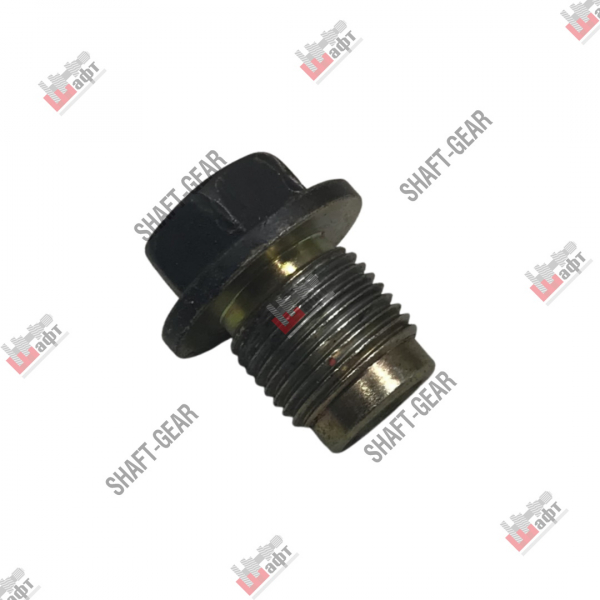 6DS50T-1702069 - Пробка на КПП