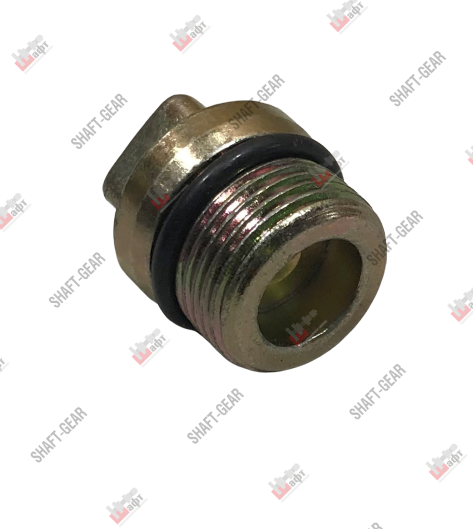 6JS160T-1709587-1 - Пробка винтовая на КПП