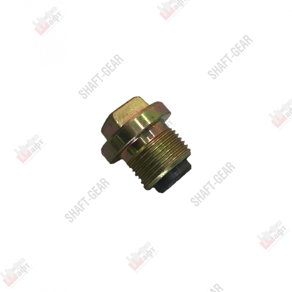 5DS50T-1701085 - Пробка с магнитом на КПП