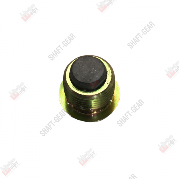 5DS50T-1701085 - Пробка с магнитом на КПП