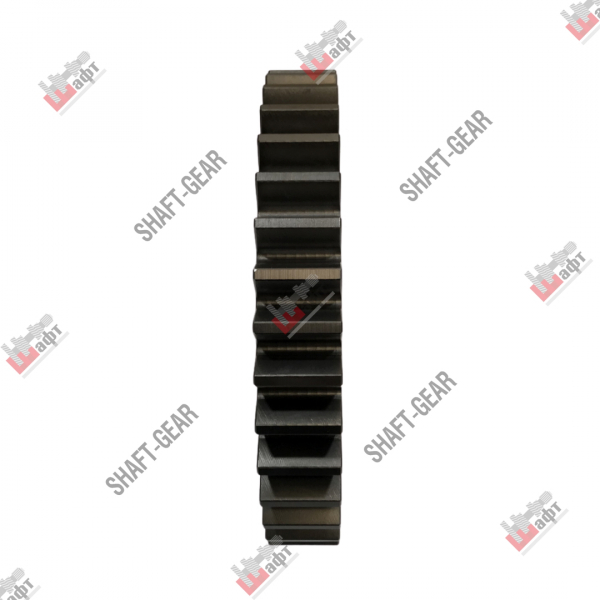 JS220-1701111 - Шестерня 1 передачи на КПП