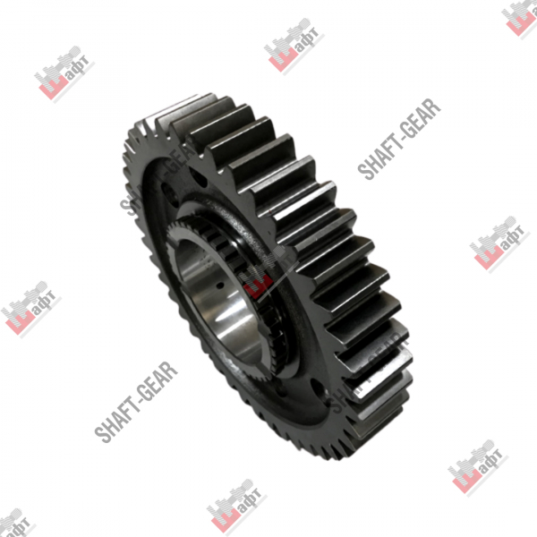 J70-1701110 - Шестерня 1 передачи вторичного вала на КПП