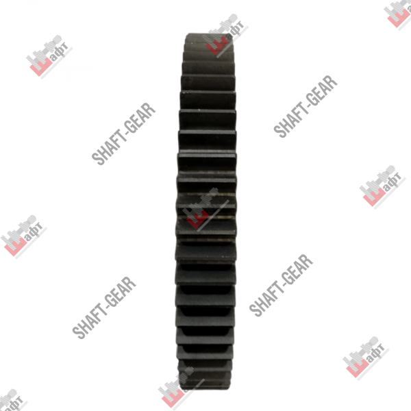 JS150T-1701111B - Шестерня 1 передачи вторичного вала на КПП