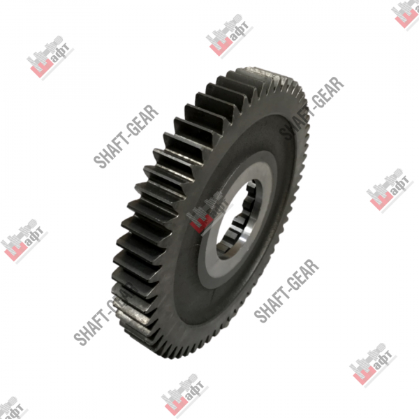 JS150T-1701111B - Шестерня 1 передачи вторичного вала на КПП