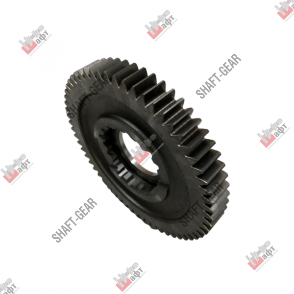 JS150T-1701111B - Шестерня 1 передачи вторичного вала на КПП