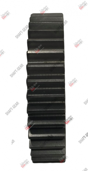 5DS50T-1701110 - Шестерня заднего хода на КПП