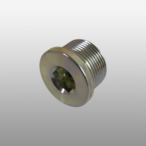 0636.100.811 - Винт запорный на КПП ZF 16S