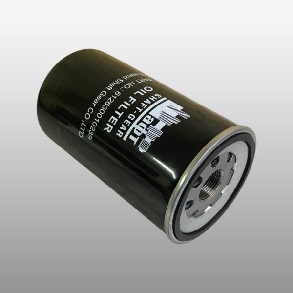 612630010239 - Фильтр масляный на Shacman, Shaanxi, Маз, Howo, Jac, XCMG